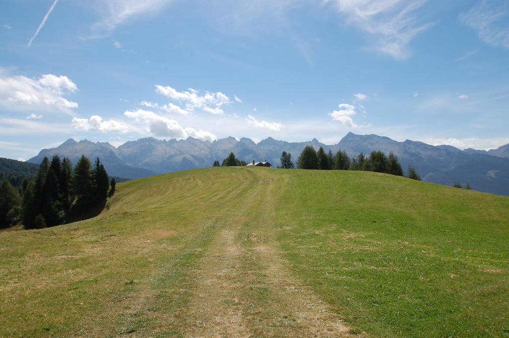 Cimon Dolomites Hotel Predazzo Exterior photo